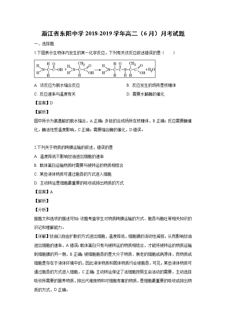 【生物】浙江省东阳中学2018-2019学年高二（6月）月考试题（解析版）01