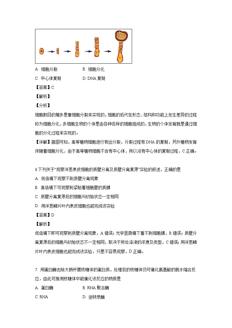 【生物】浙江省东阳中学2018-2019学年高二（6月）月考试题（解析版）03