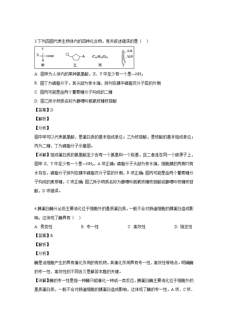【生物】浙江省杭州市萧山三中2018-2019学年高二下学期月考（一）试题（解析版）第2页
