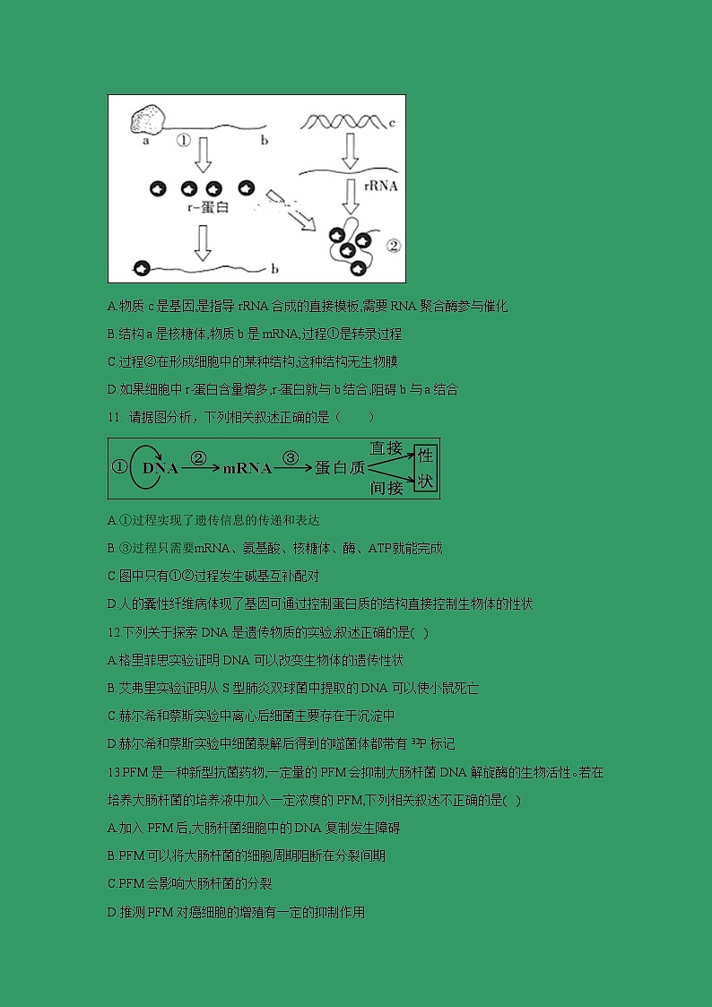 【生物】江西省分宜中学2018-2019高二下学期第二次段考试卷第3页