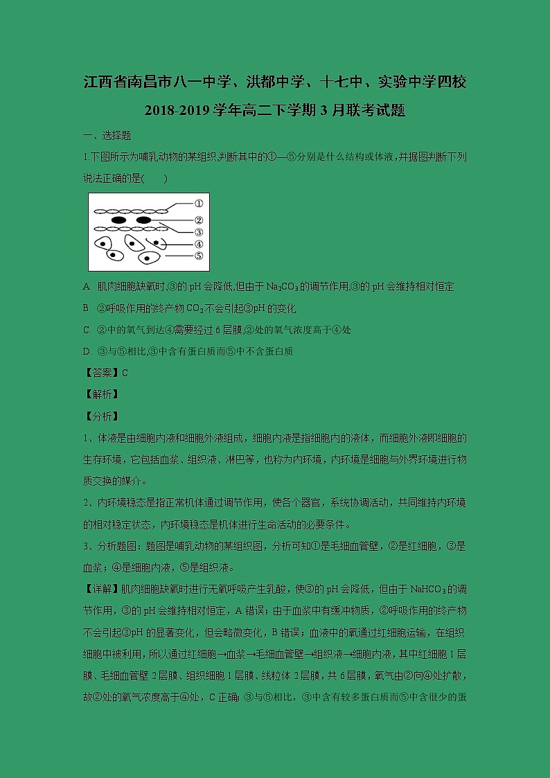 【生物】江西省南昌市八一中学、洪都中学、十七中、实验中学四校2018-2019学年高二下学期3月联考试题（解析版）第1页
