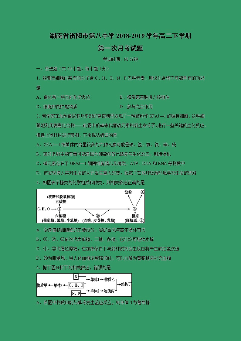 【生物】湖南省衡阳市第八中学2018-2019学年高二下学期第一次月考试题01