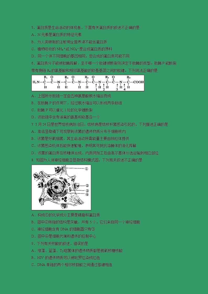 【生物】吉林省白城市通榆县第一中学2018-2019学年高二6月月考试题02