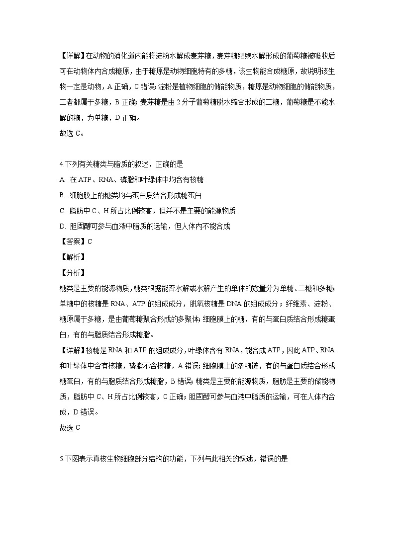【生物】吉林省延边朝鲜族自治州二中2018-2019学年高二下学期第二次月考试题（解析版）第3页