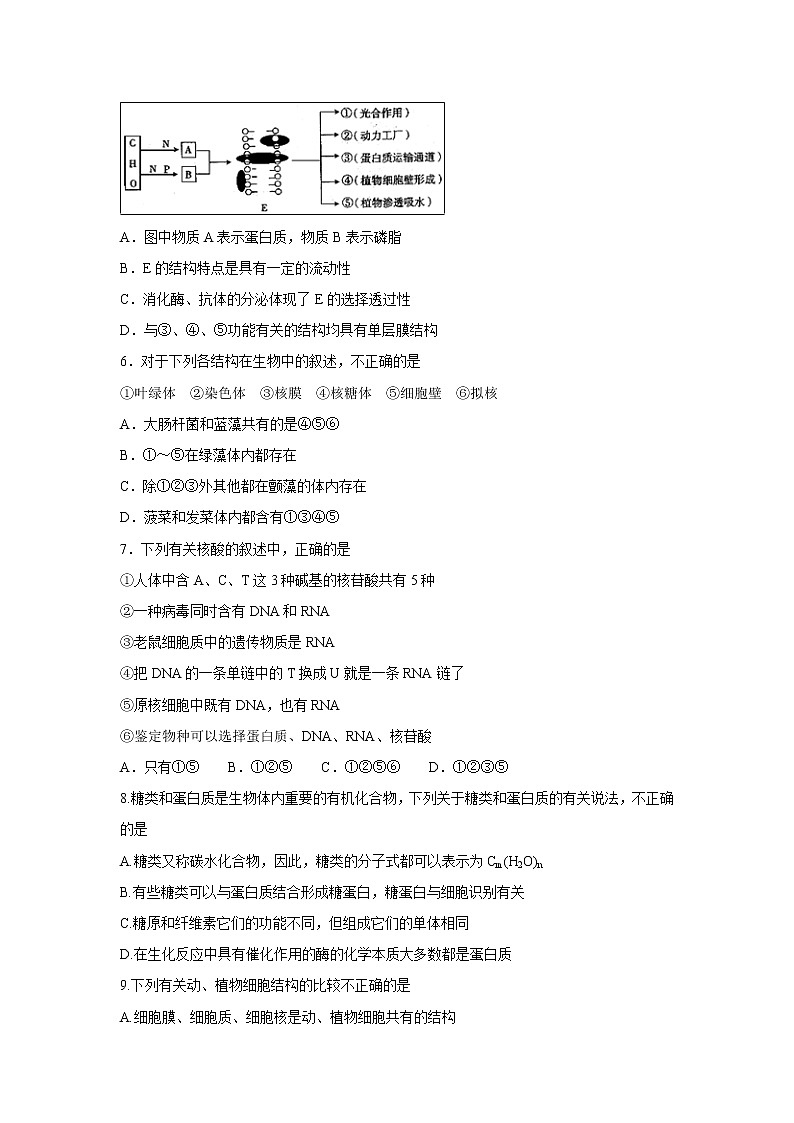【生物】吉林省延边第二中学2018-2019学年高二下学期第二次月考试题第2页