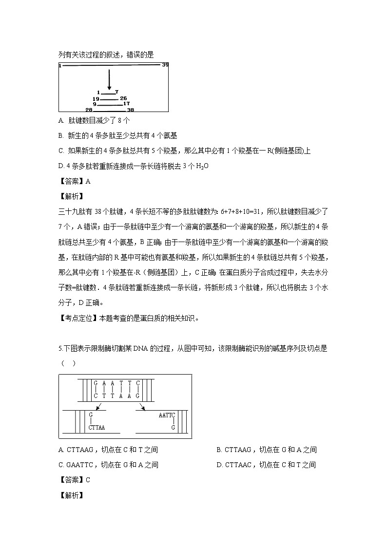 【生物】江苏省常州市武进区礼嘉中学2018-2019学年高二（6月）月考试题（解析版）02