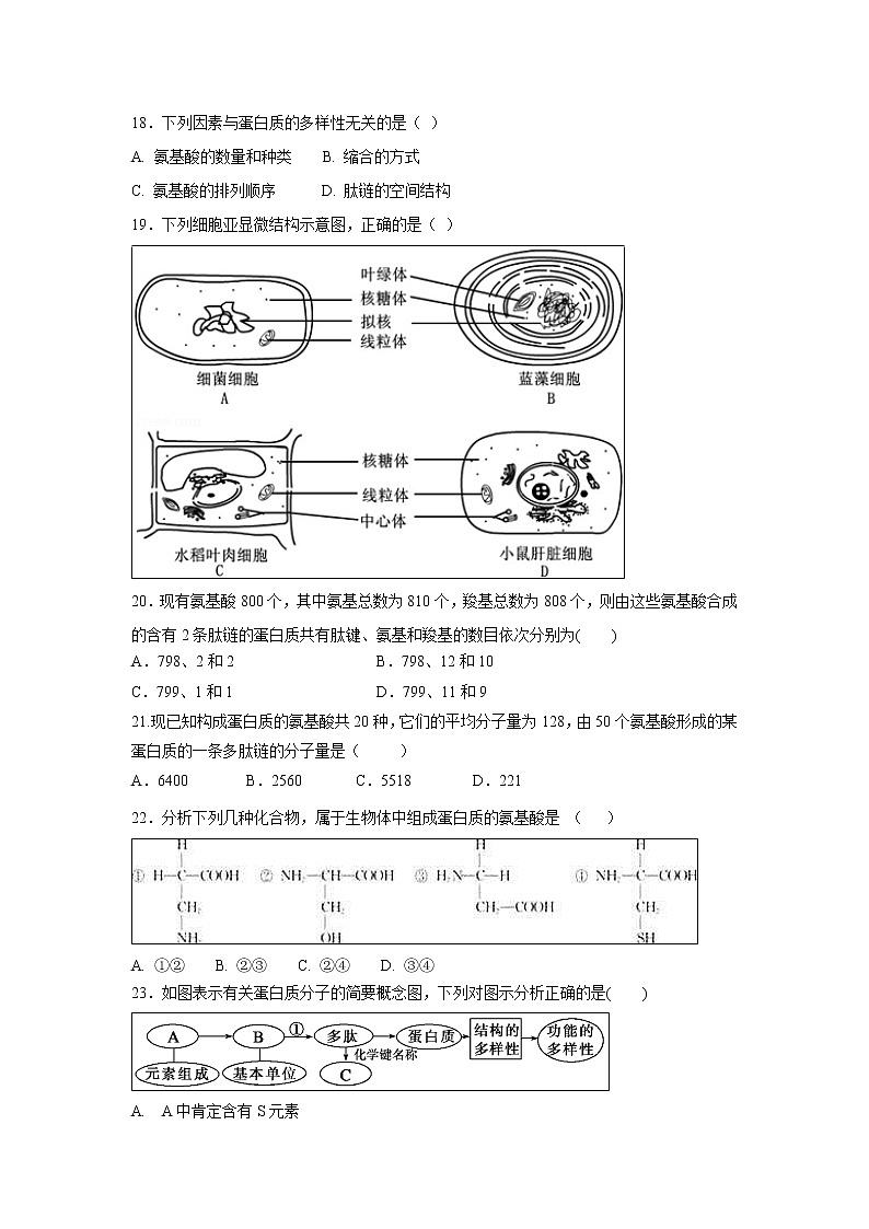 【生物】青海省海东市第二中学2018-2019学年高二下学期第二次月考试题03