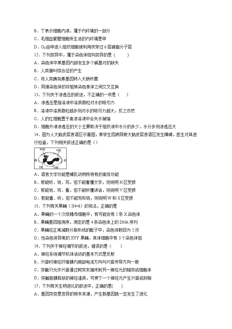 【生物】宁夏平罗中学2018-2019学年高二下学期第二次月考试题第3页