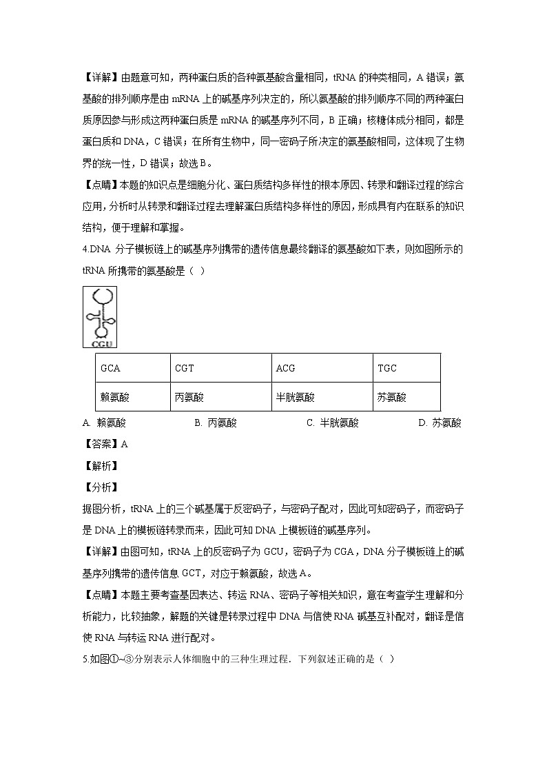 【生物】宁夏育才中学勤行校区2018-2019学年高二3月月考试卷 （解析版）第2页