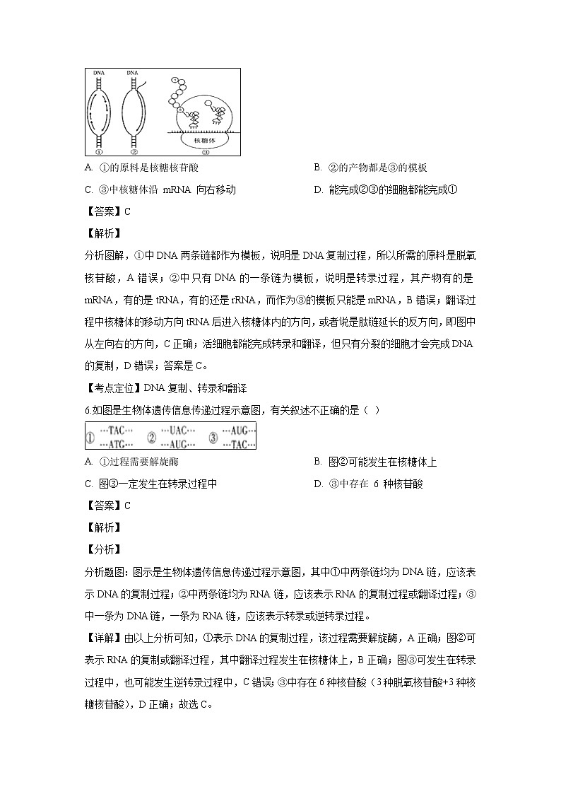 【生物】宁夏育才中学勤行校区2018-2019学年高二3月月考试卷 （解析版）第3页