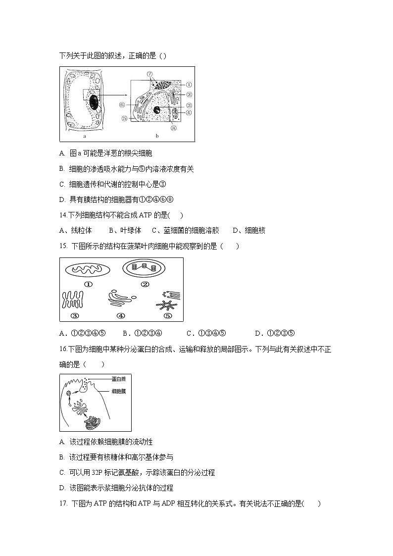 【生物】山东省淄博市淄川中学2018-2019学年高二6月月考试题03