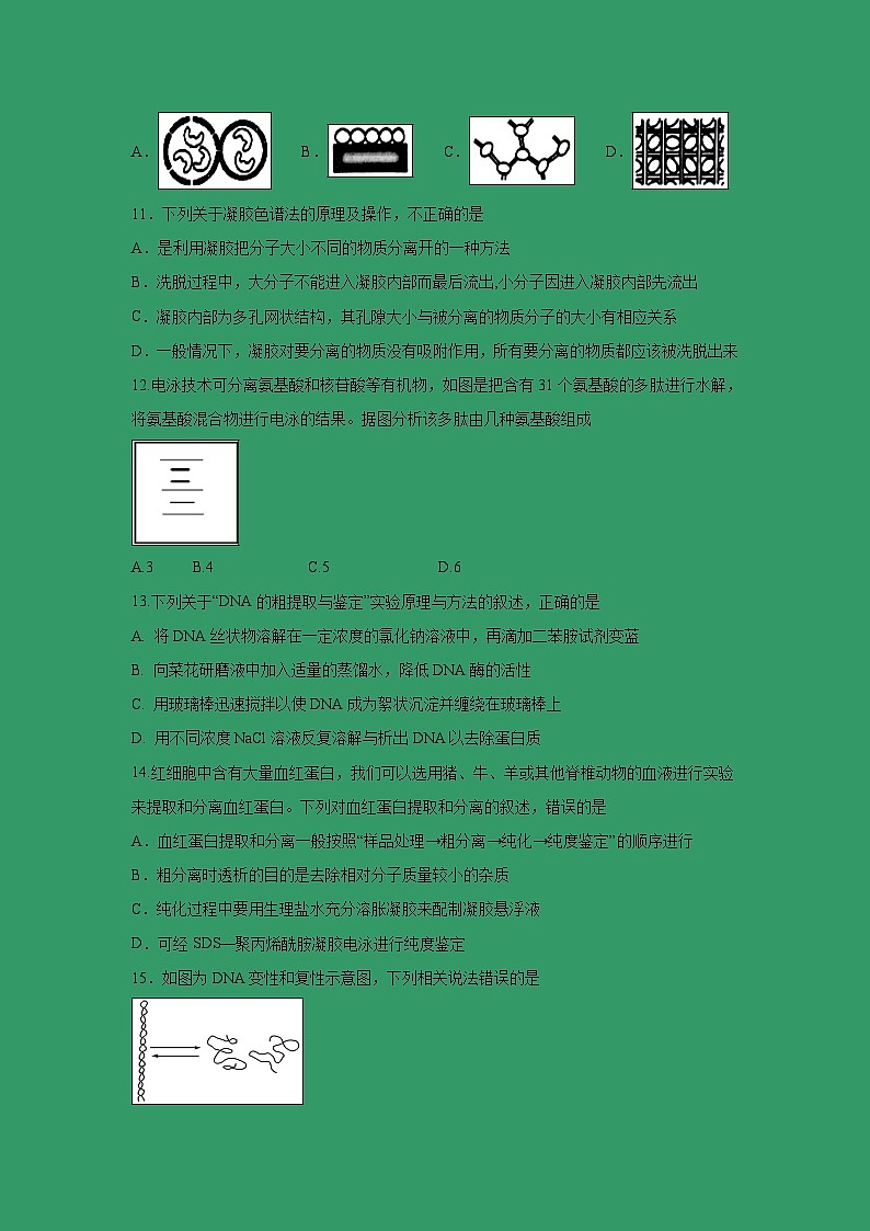 【生物】山西省太原市第五中学2018-2019学年高二下学期阶段性测试（4月） （理）03