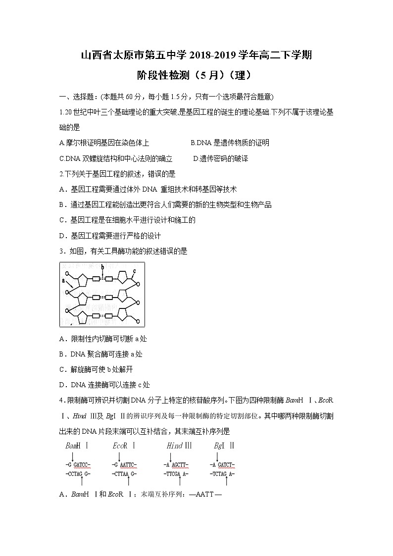【生物】山西省太原市第五中学2018-2019学年高二下学期阶段性检测（5月）（理）01