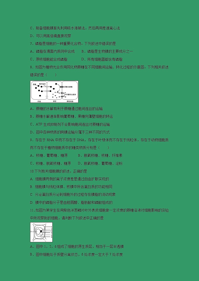 【生物】河北省辛集一中2018-2019学年高二4月月考试卷02