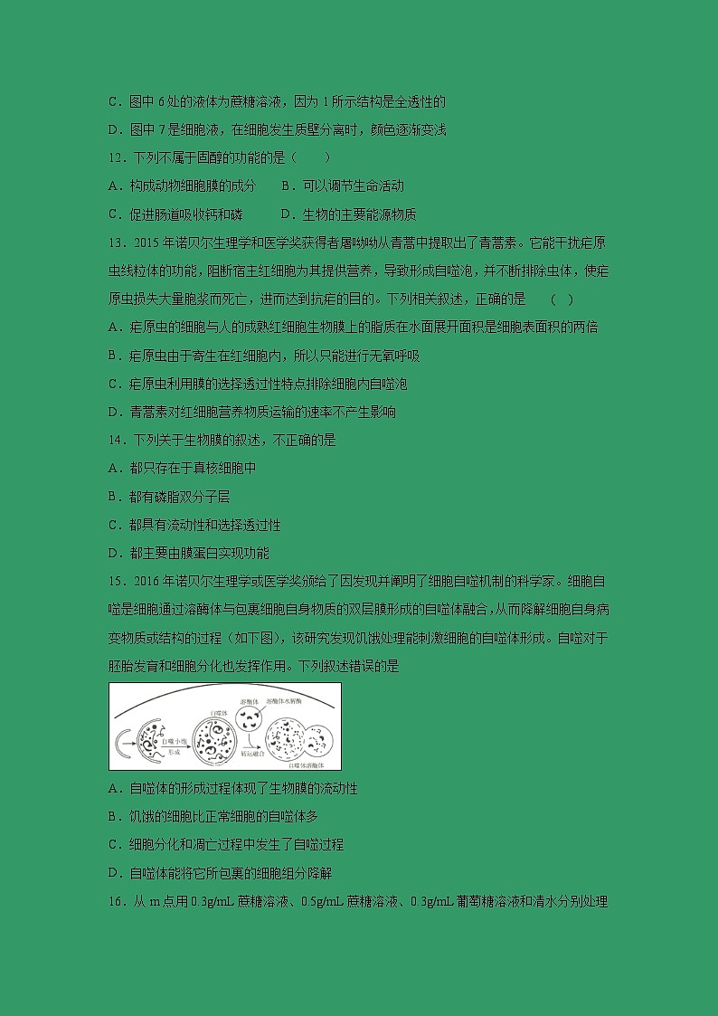 【生物】河北省辛集一中2018-2019学年高二4月月考试卷03