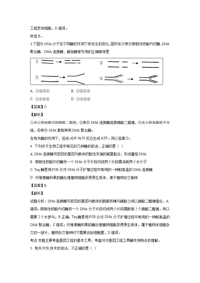 【生物】河南省花洲实验高级中学2018-2019学年高二下学期第一次月考试题（解析版）02