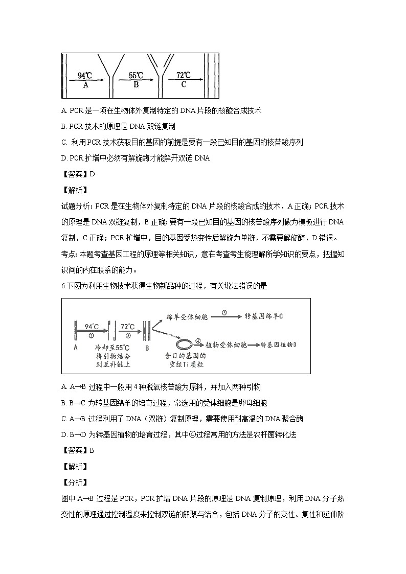 【生物】河南省花洲实验高级中学2018-2019学年高二下学期第一次月考试题（解析版）03