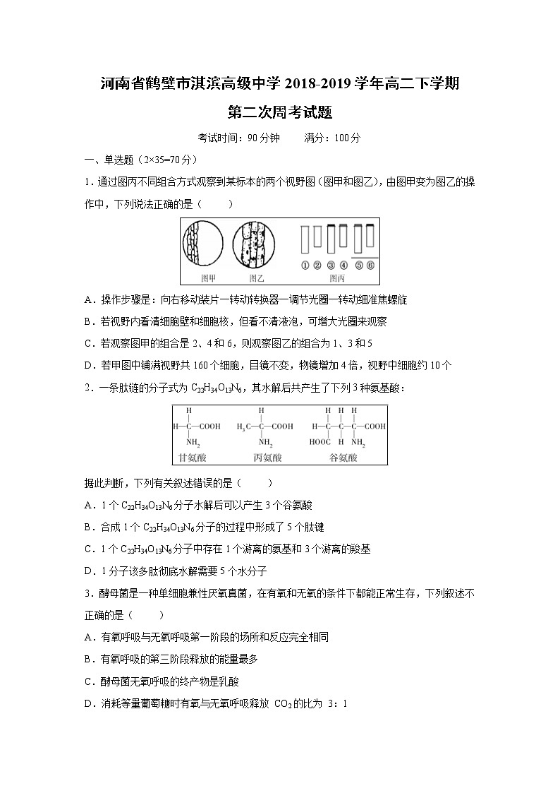 【生物】河南省鹤壁市淇滨高级中学2018-2019学年高二下学期第二次周考试题第1页