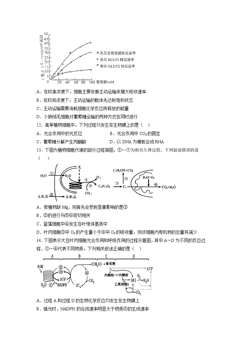 【生物】河南省鹤壁市淇滨高级中学2018-2019学年高二下学期第四次月考试题03