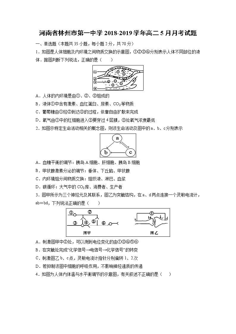 【生物】河南省林州市第一中学2018-2019学年高二5月月考试题01