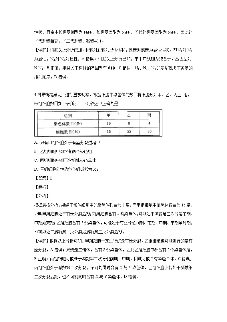 【生物】河南省洛阳市2018-2019学年高二下学期（5月）月考试题（解析版）03