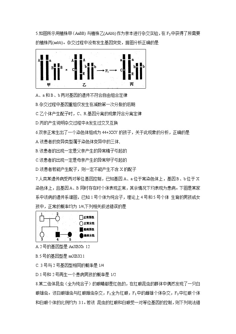 【生物】河南省洛阳市2018-2019学年高二下学期5月质量检测第2页