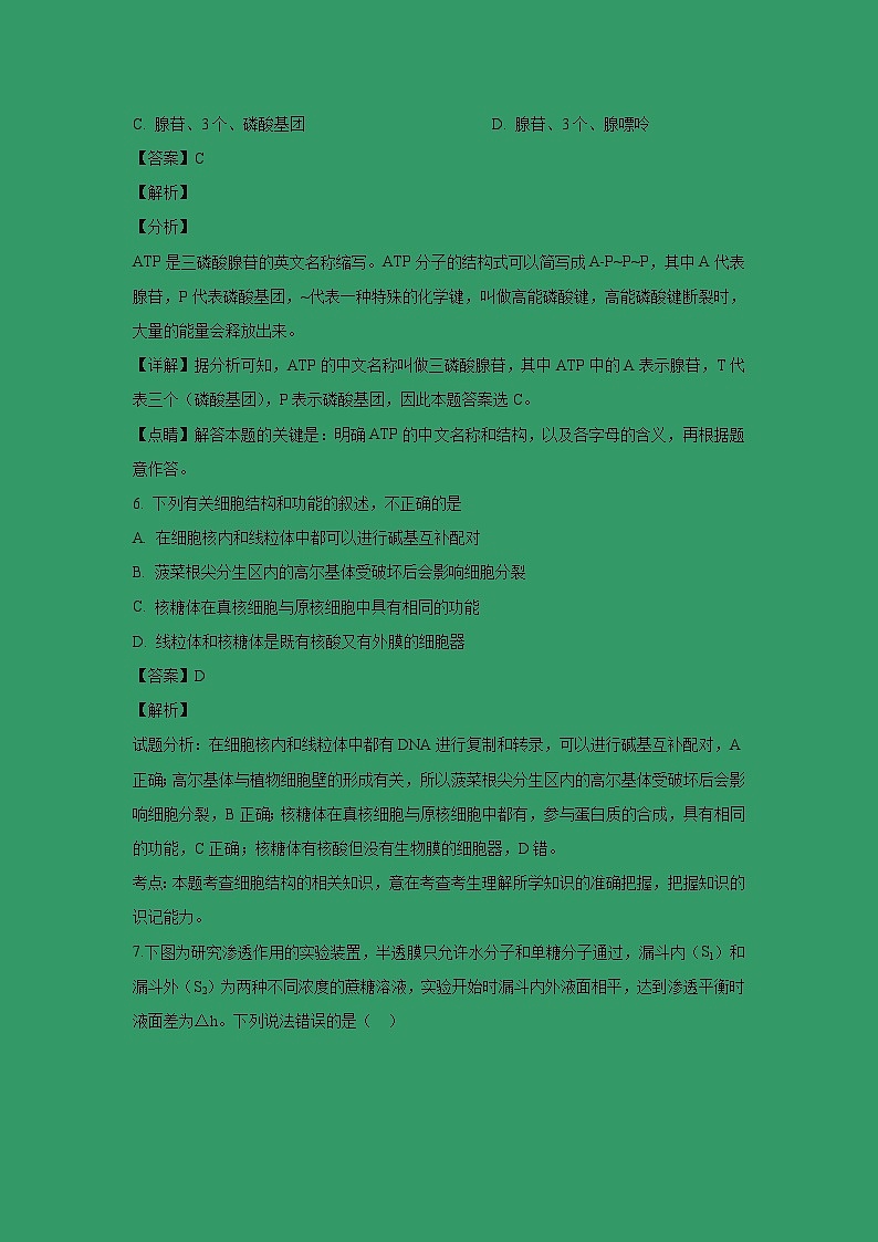 【生物】河北省武邑中学2018-2019学年高二下学期第一次月考试卷 （解析版）03
