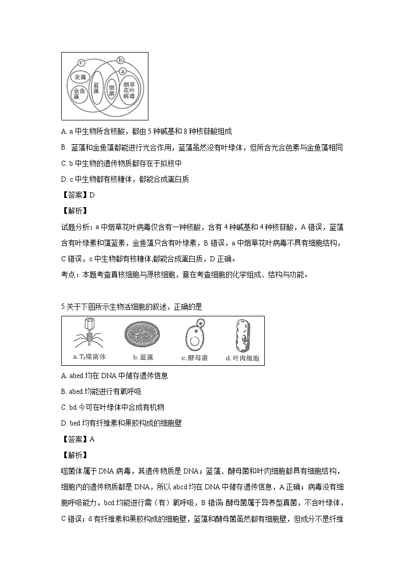 【生物】河南省南阳市一中2018-2019学年高二下学期第四次月考试题（解析版）第3页
