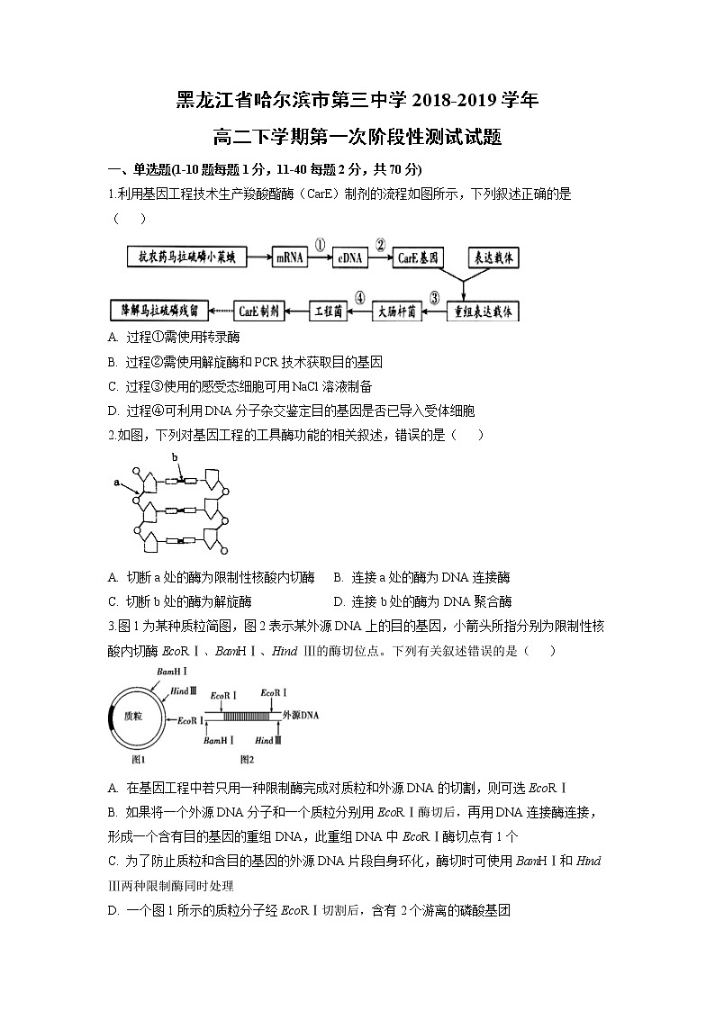 【生物】黑龙江省哈尔滨市第三中学2018-2019学年高二下学期第一次阶段性测试试题第1页