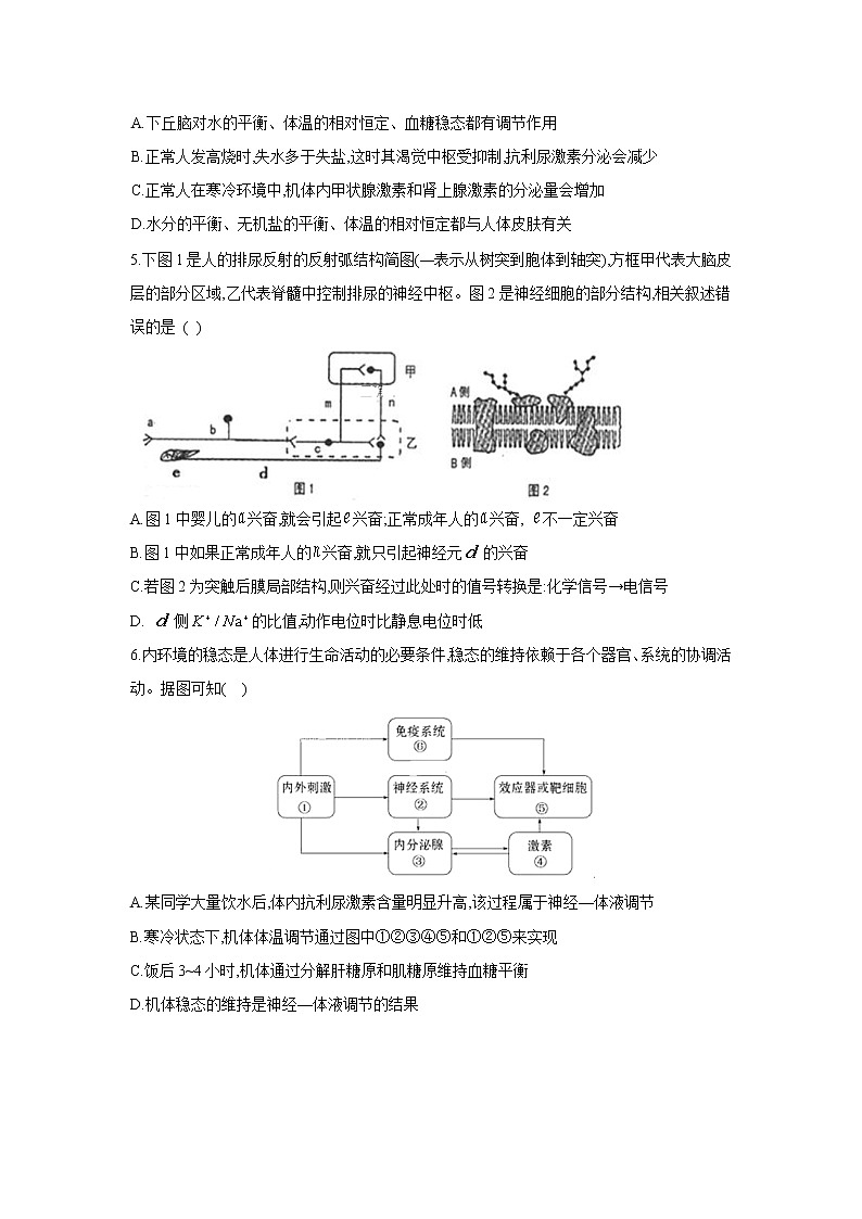 【生物】黑龙江省青冈县一中2018-2019高二下学期第三次月考试卷02