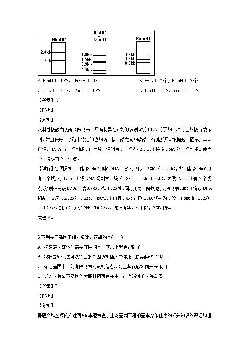 【生物】黑龙江省牡丹江市第一高级中学2018-2019学年高二下学期4月月考试题（解析版）第2页