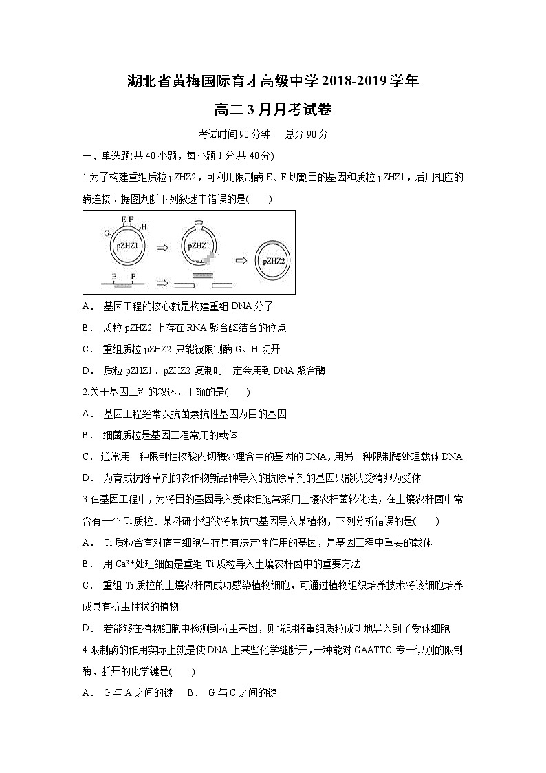 【生物】湖北省黄梅国际育才高级中学2018-2019学年高二3月月考试卷01