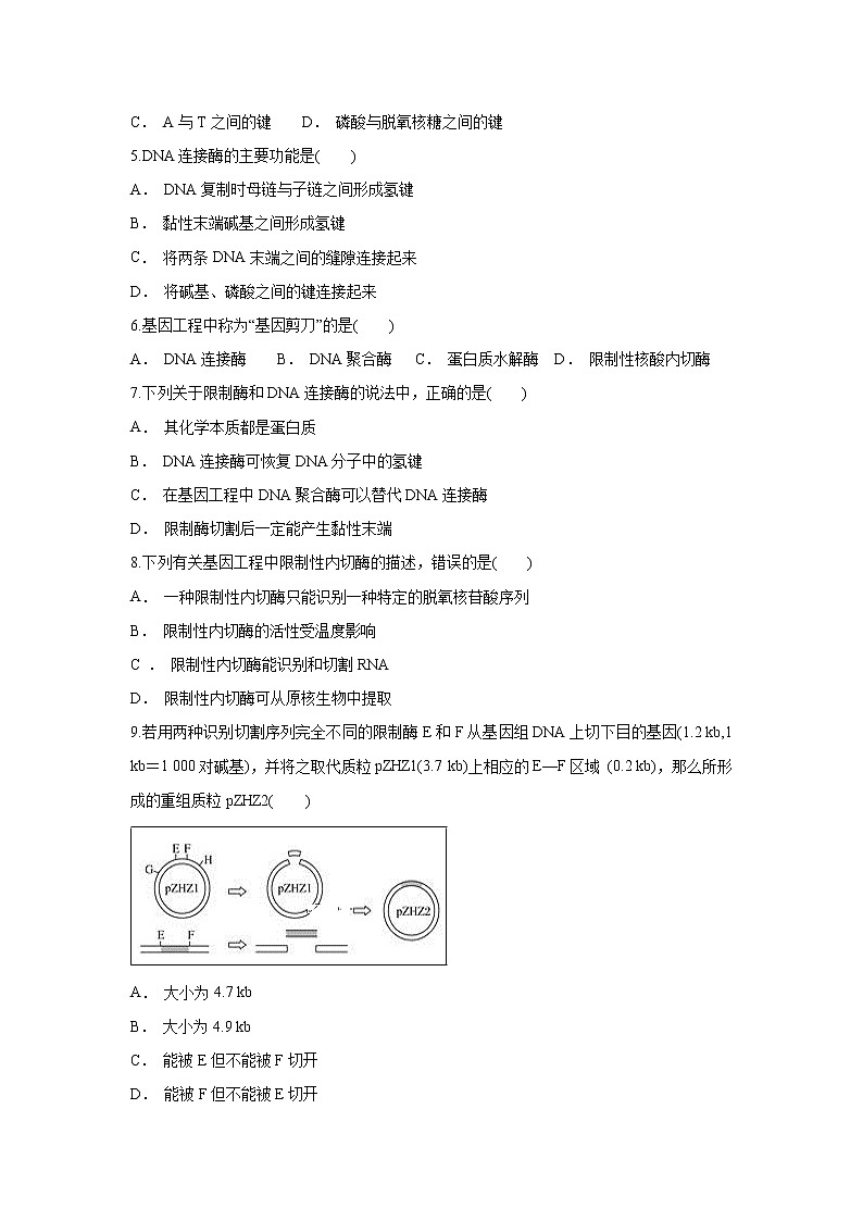 【生物】湖北省黄梅国际育才高级中学2018-2019学年高二3月月考试卷02