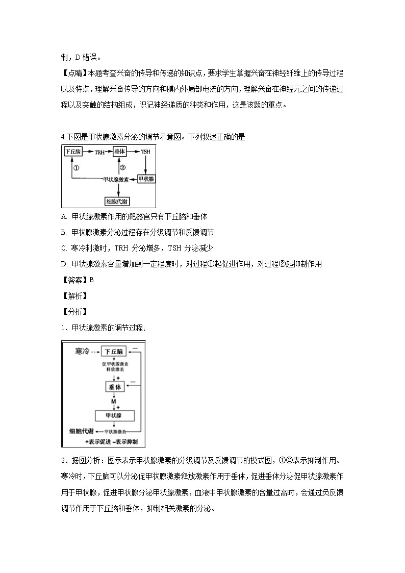 【生物】江苏省涟水中学2018-2019学年高二下学期5月月考试题（解析版）03
