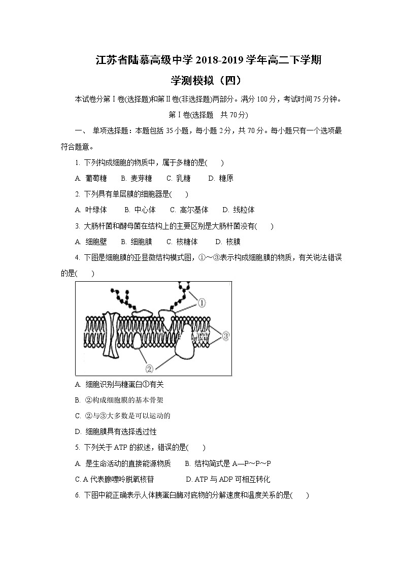 【生物】江苏省陆慕高级中学2018-2019学年高二下学期学测模拟（四）01