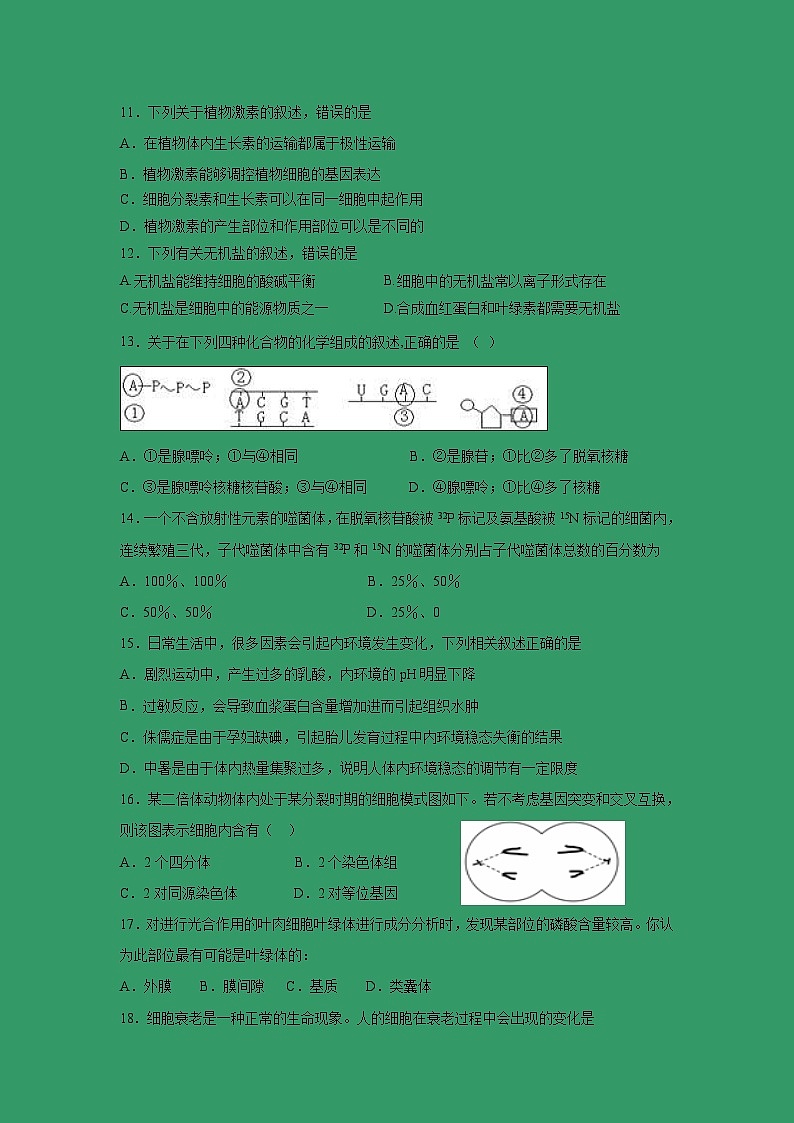 【生物】湖南省益阳市箴言中学2018-2019学年高二下学期4月月考试题03