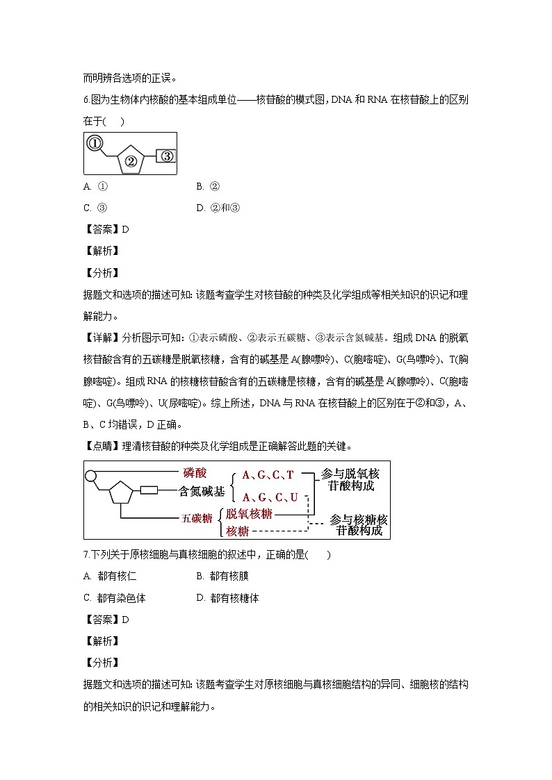 【生物】江苏省苏州市2018-2019学年高二下学期学业水平测试模拟卷(二)试题 （解析版）03
