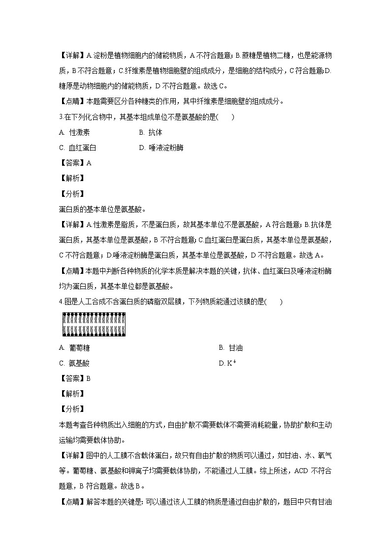 【生物】江苏省徐州市2018-2019学年高二下学期学业水平测试模拟试题 （解析版）02