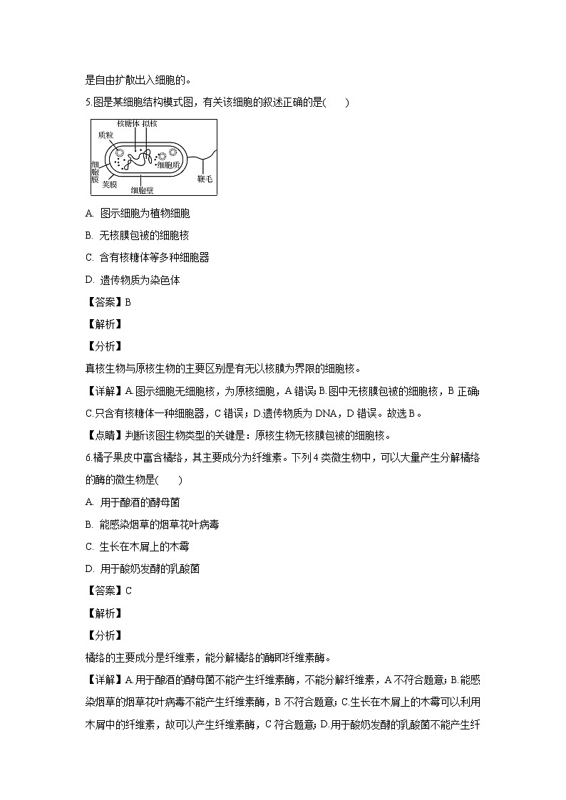 【生物】江苏省徐州市2018-2019学年高二下学期学业水平测试模拟试题 （解析版）03