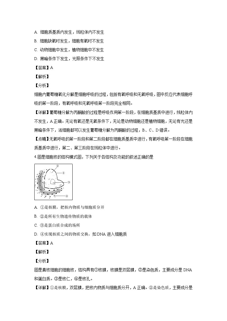 【生物】江苏省盐城中学2018-2019学年高二下学期学业水平测试模拟考试试题 （解析版）02