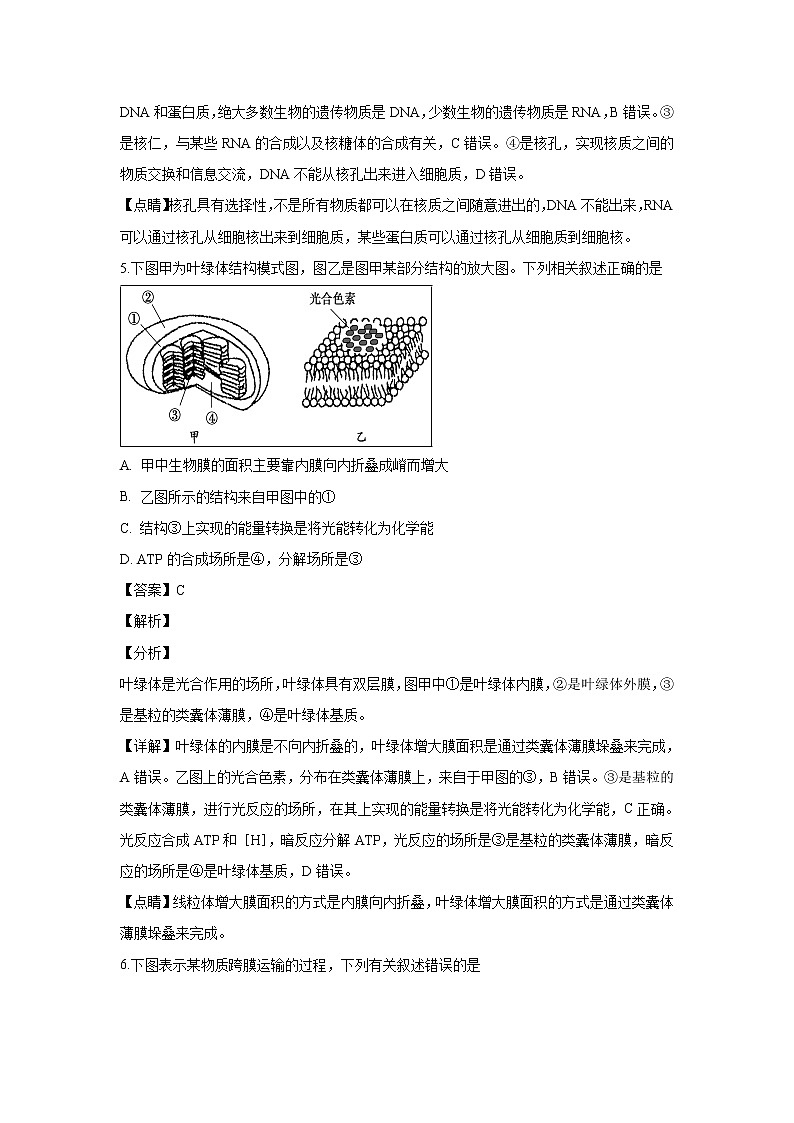 【生物】江苏省盐城中学2018-2019学年高二下学期学业水平测试模拟考试试题 （解析版）03