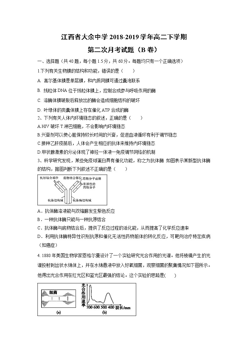 【生物】江西省大余中学2018-2019学年高二下学期第二次月考试题（B卷）01