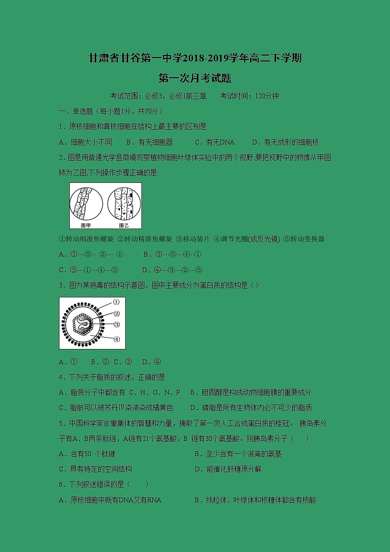 【生物】甘肃省甘谷第一中学2018-2019学年高二下学期第一次月考试题01