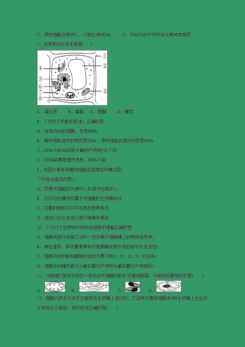 【生物】甘肃省甘谷第一中学2018-2019学年高二下学期第一次月考试题02