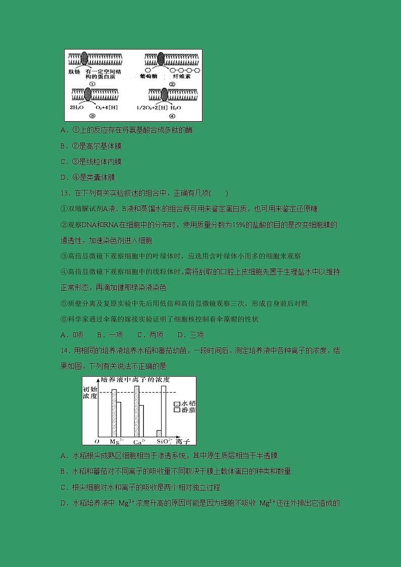 【生物】甘肃省甘谷第一中学2018-2019学年高二下学期第一次月考试题03