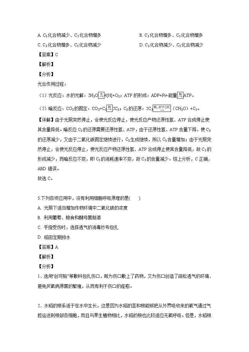 【生物】河北省廊坊市永清县一中2018-2019学年高二下学期第三次月考试卷（解析版）03