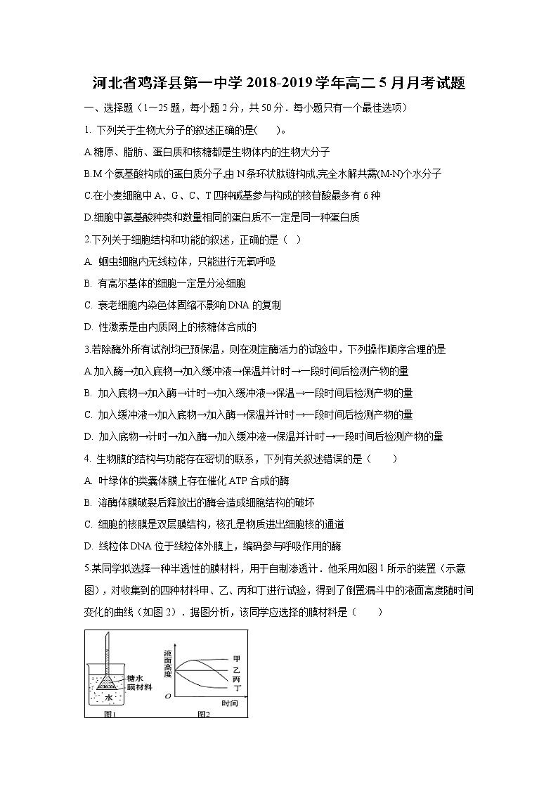 【生物】河北省鸡泽县第一中学2018-2019学年高二5月月考试题01