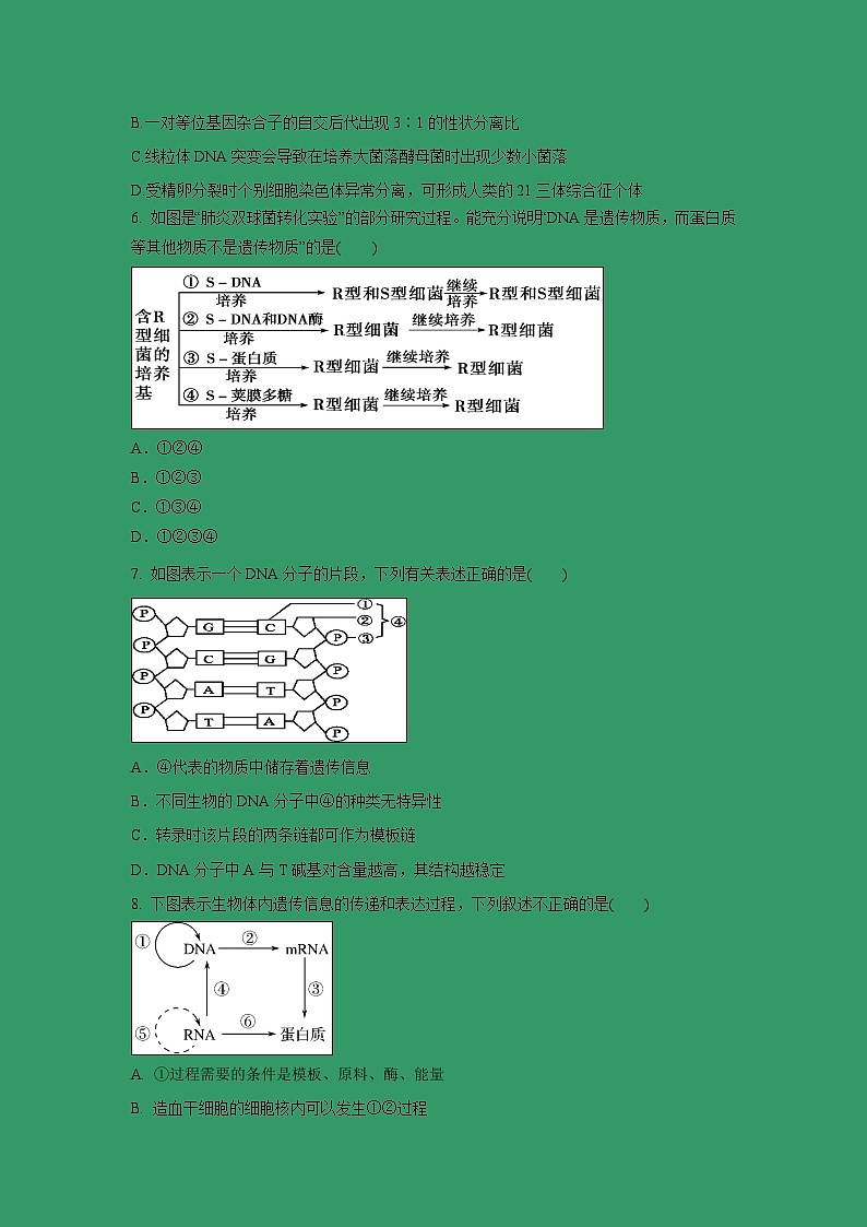 【生物】广东省江门市第二中学2018-2019学年高二下学期第二次月考理科试题02