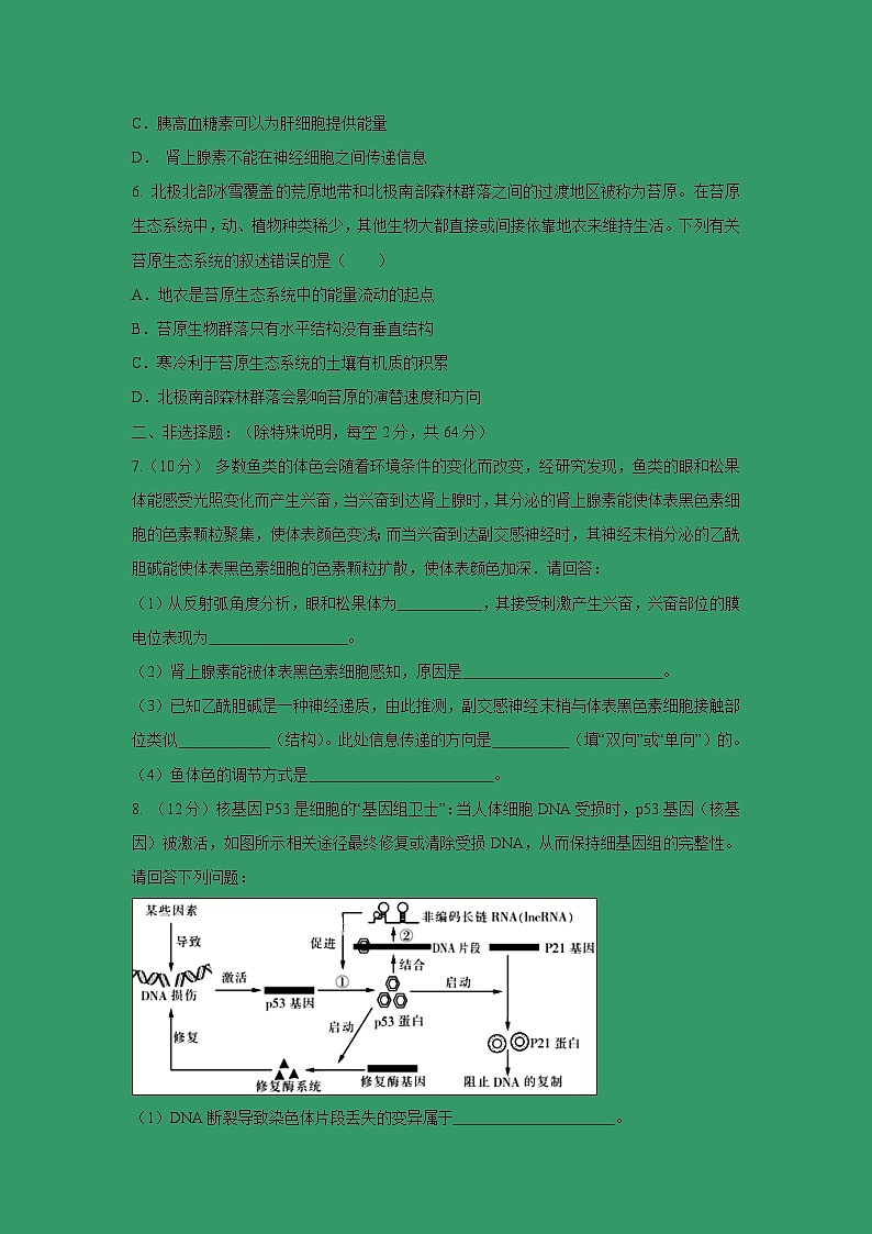【生物】广东省江门市第二中学2018-2019学年高二下学期第一次月考试题02