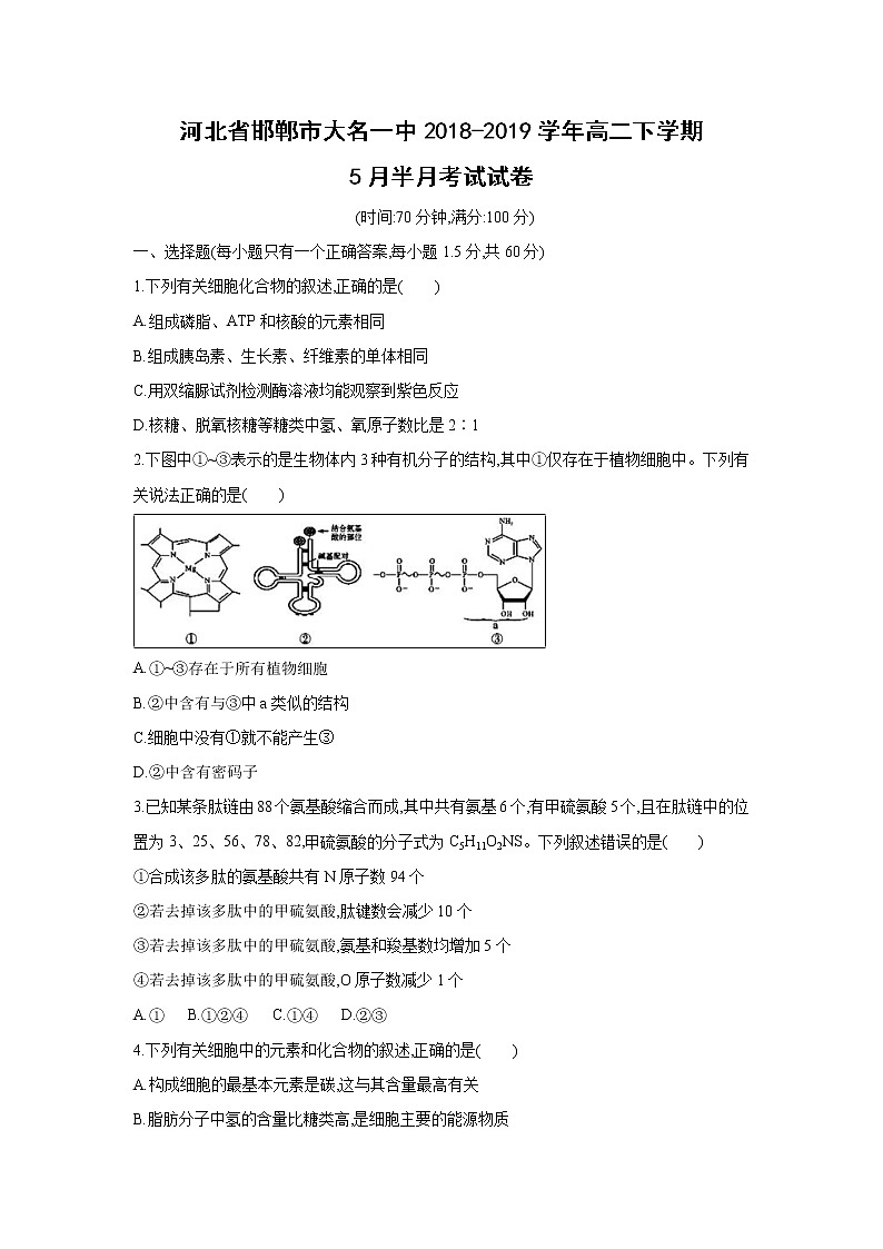 【生物】河北省邯郸市大名一中2018-2019学年高二下学期5月半月考试试卷01